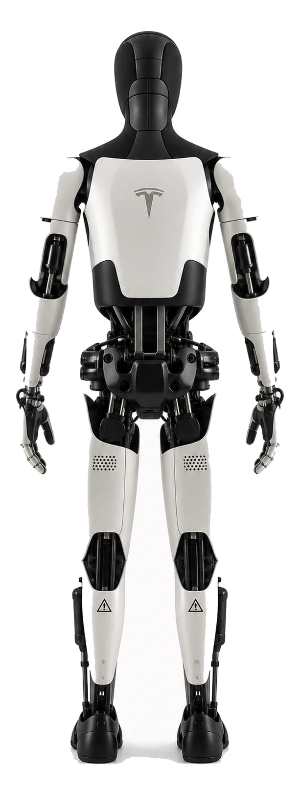 Tesla Optimus Rear/Back View