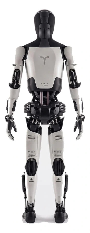 Tesla Optimus Rear/Back View
