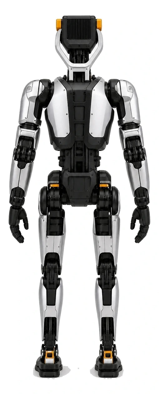 Phoenix Rear/Back View