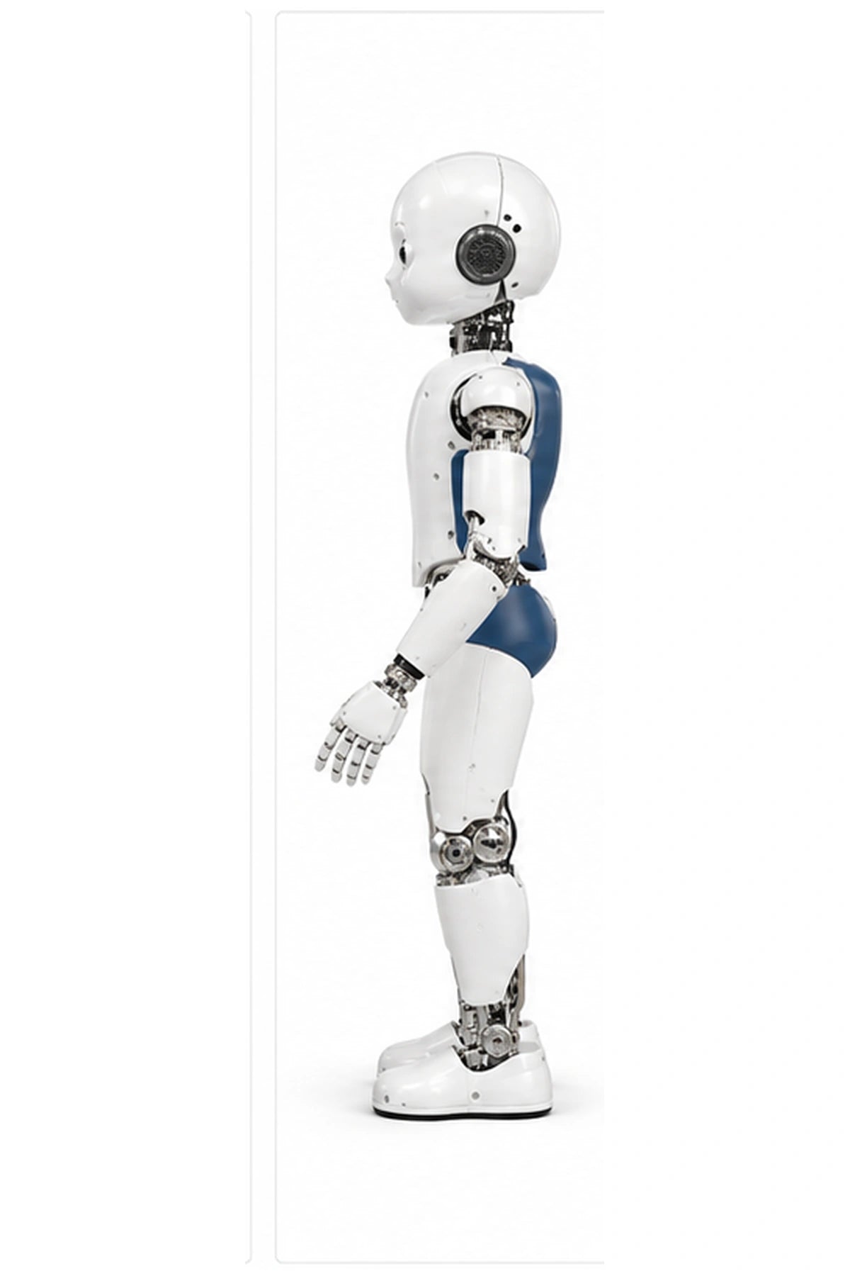 iCub Side view