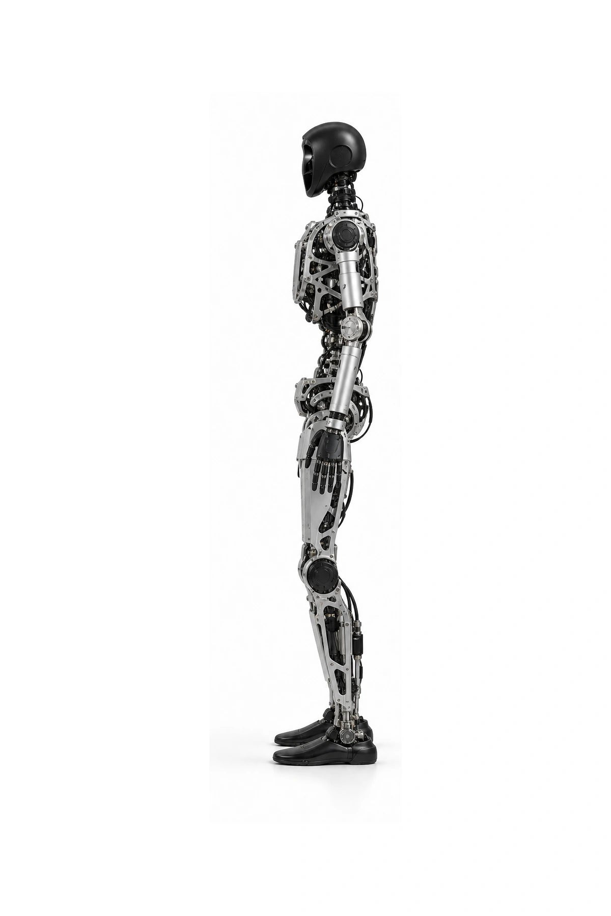 Adam Side View