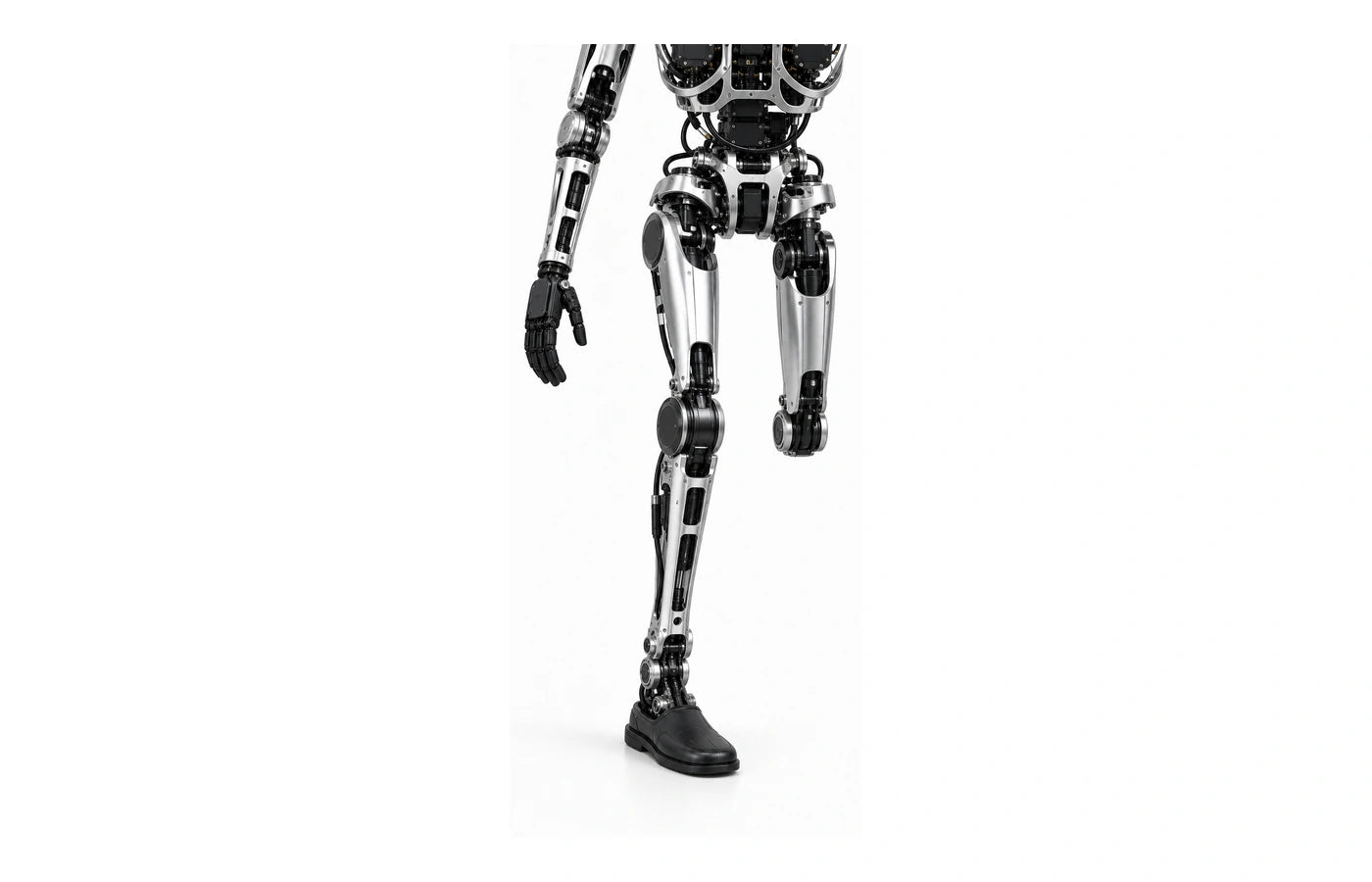 Adam Sp Arm detail