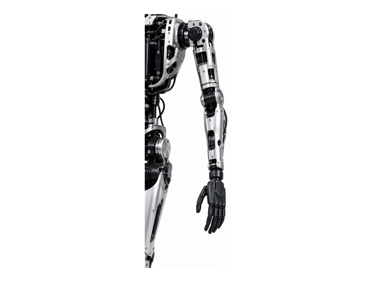 Adam Sp Arm View