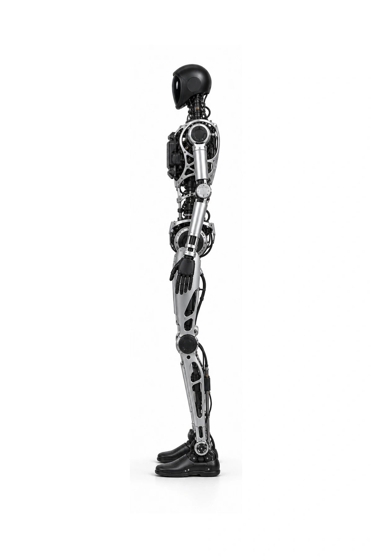 Adam Sp Side View