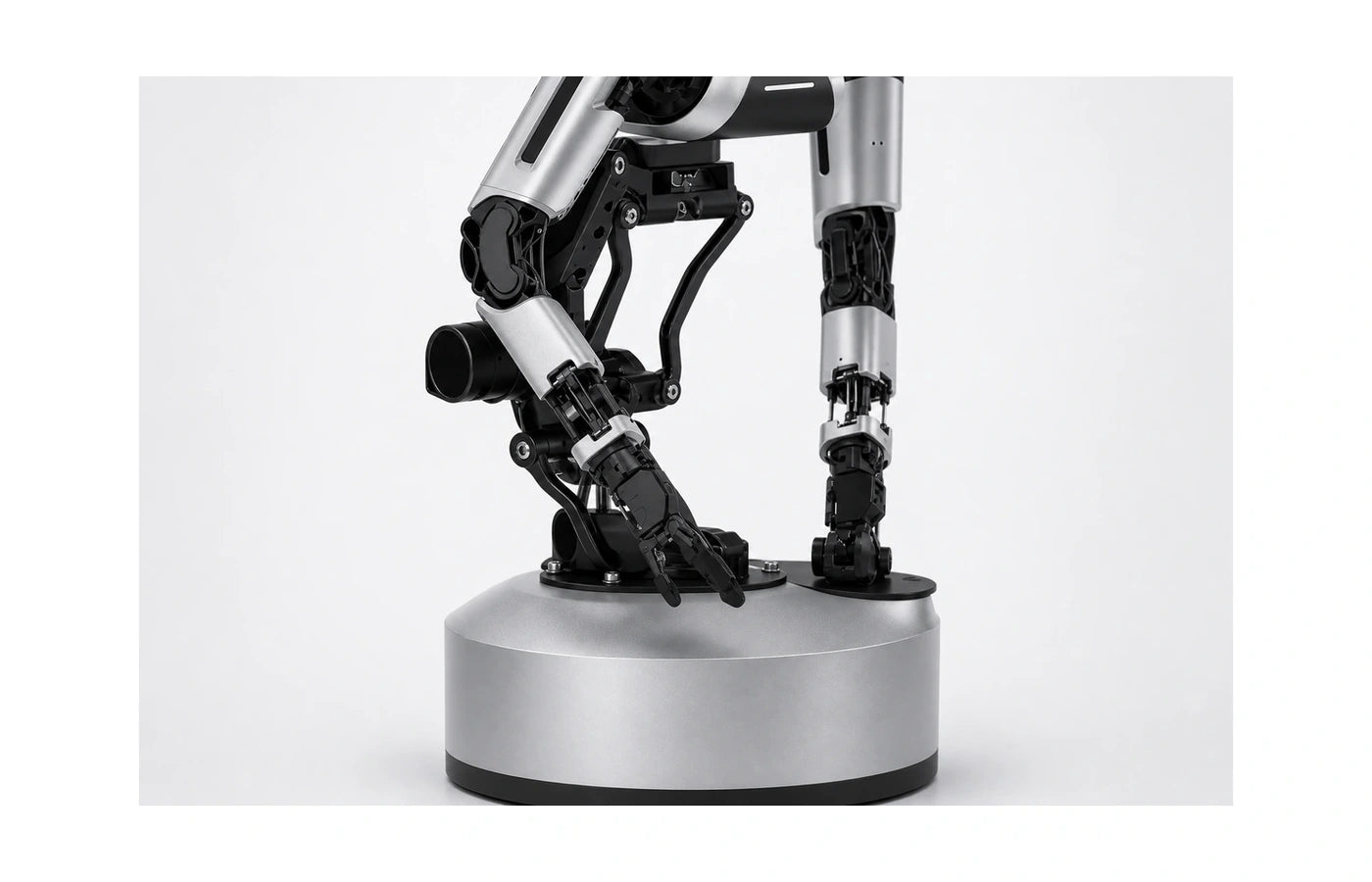 Ambidex Arm and leg detail