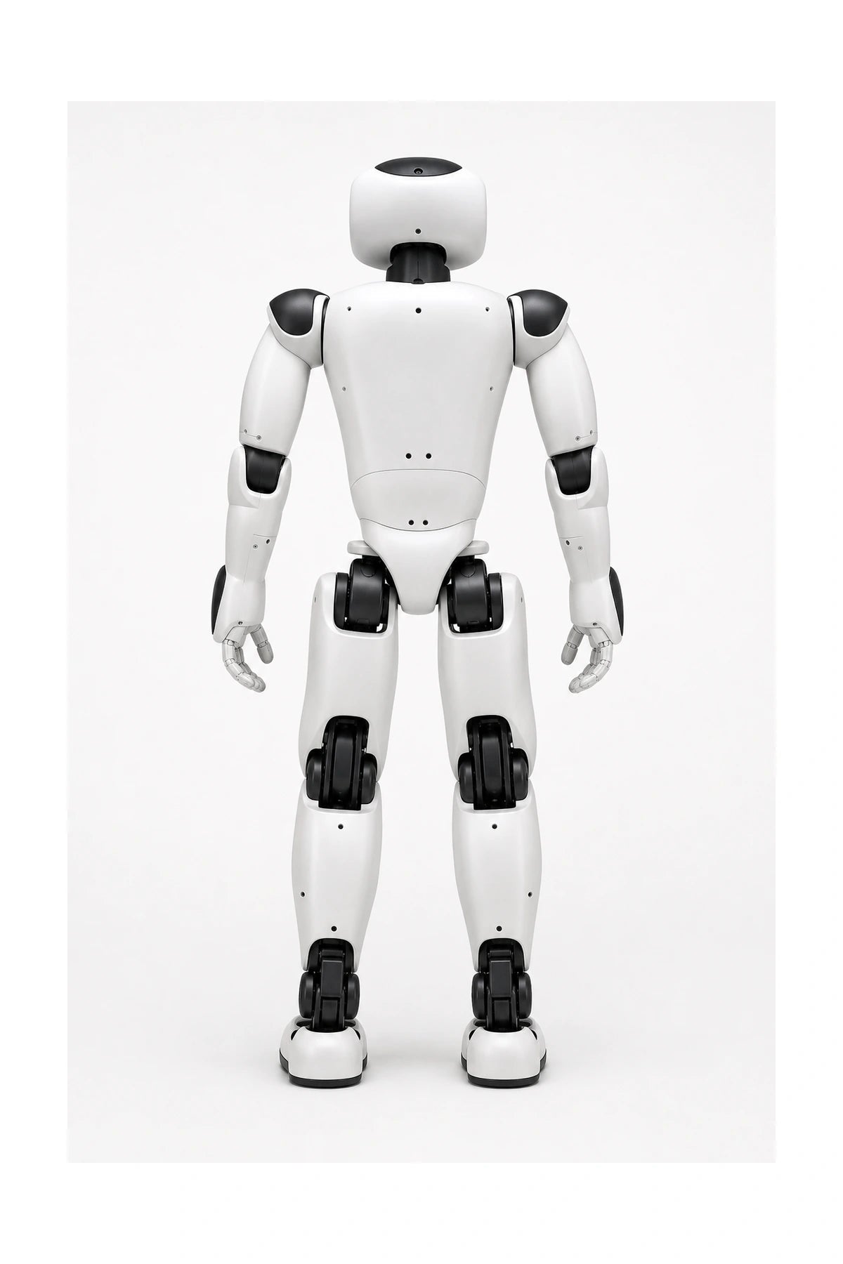 Apollo Rear/Back View