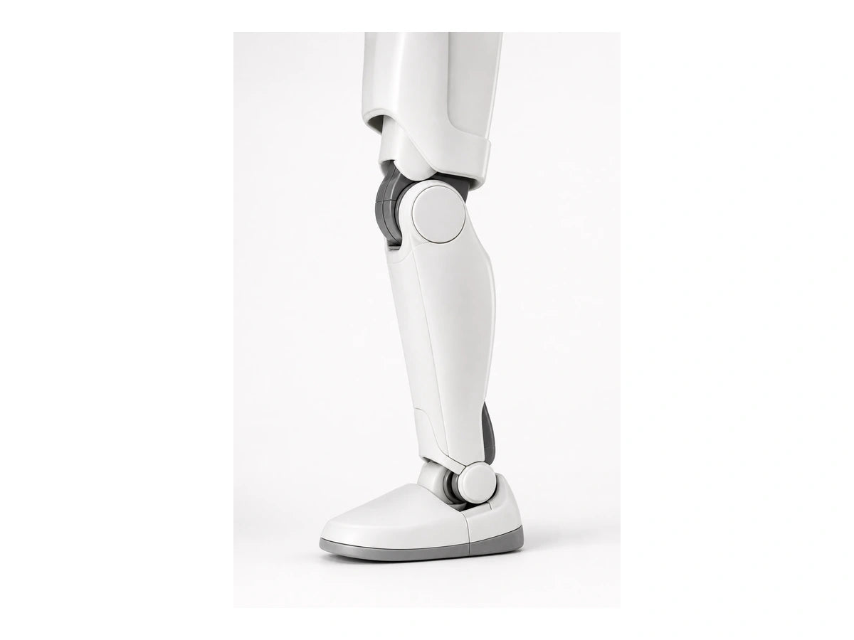 ASIMO Leg View