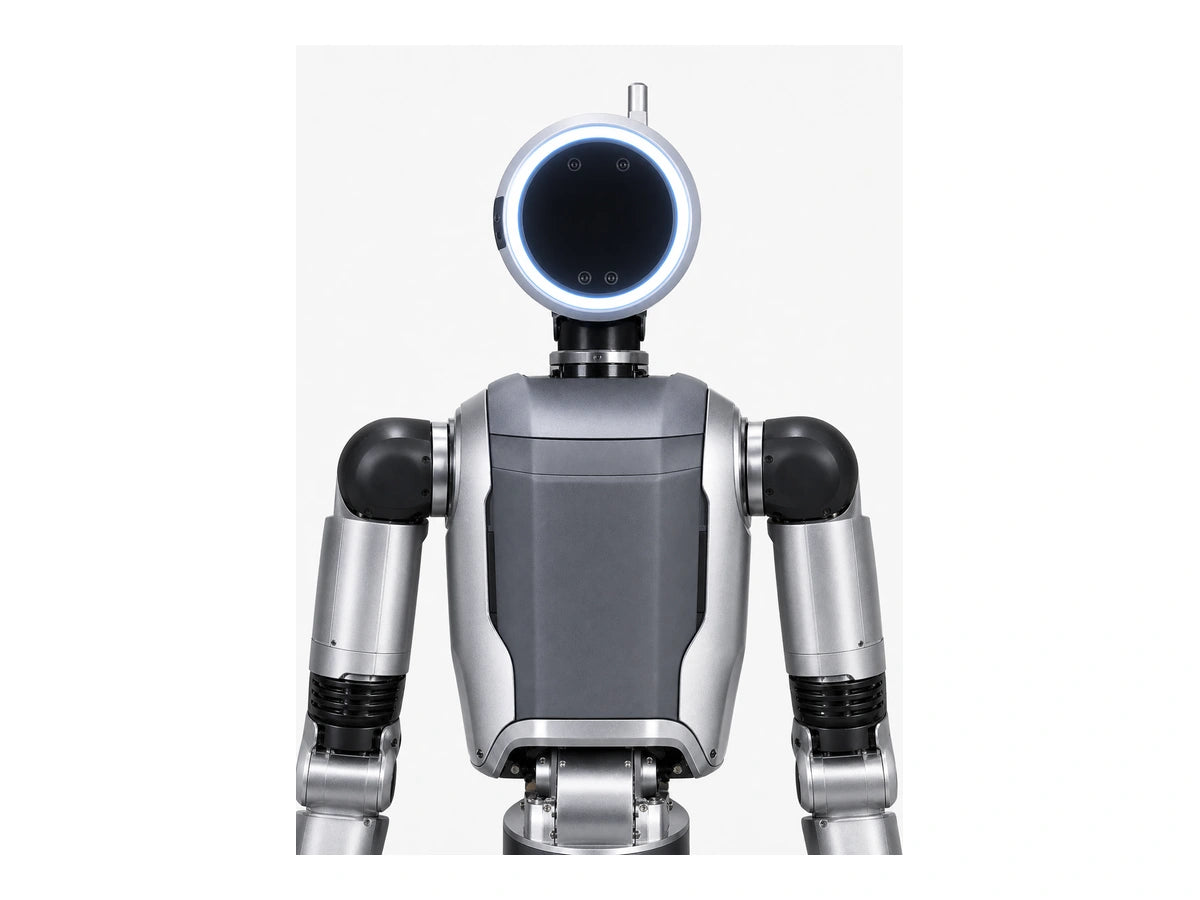 Atlas Head/Torso View