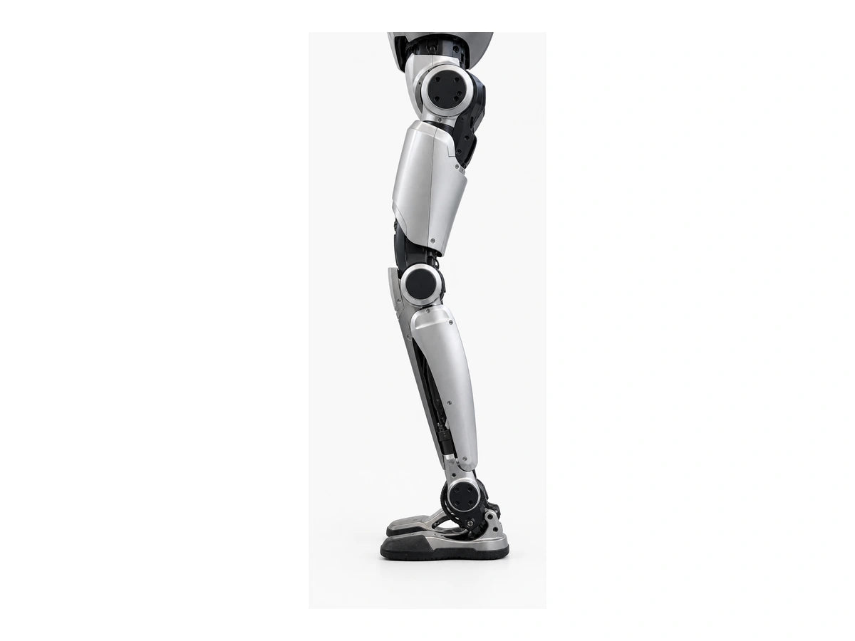 Atlas Leg View