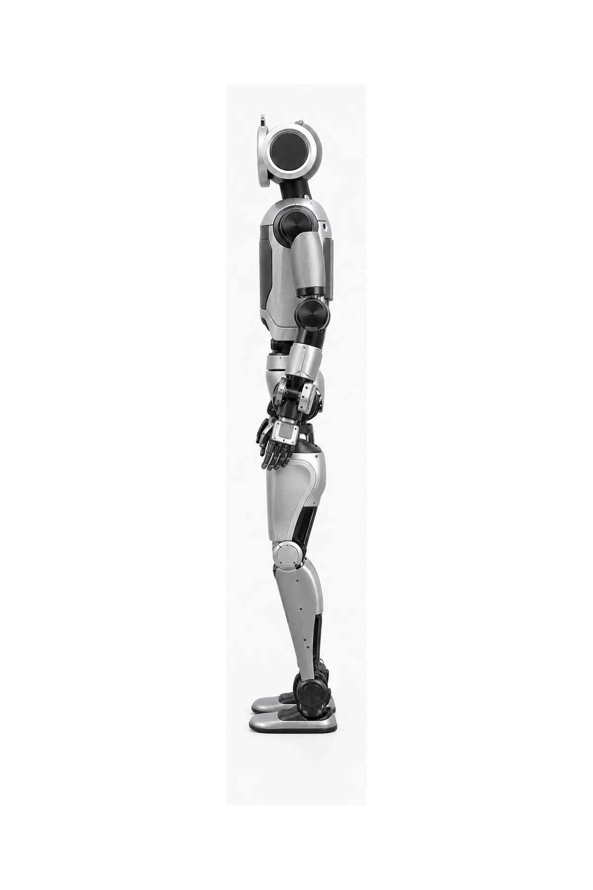 Atlas Side view