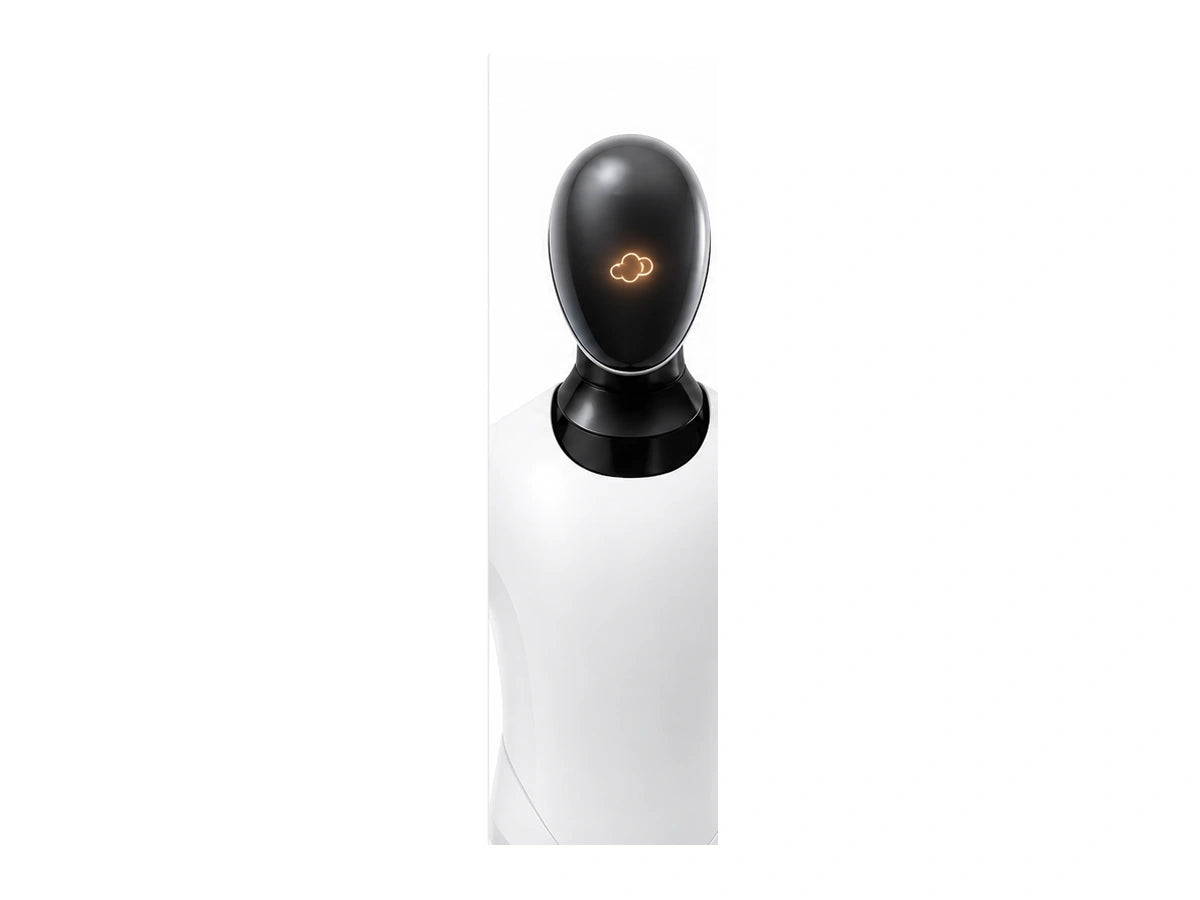 CyberOne Head/Torso View