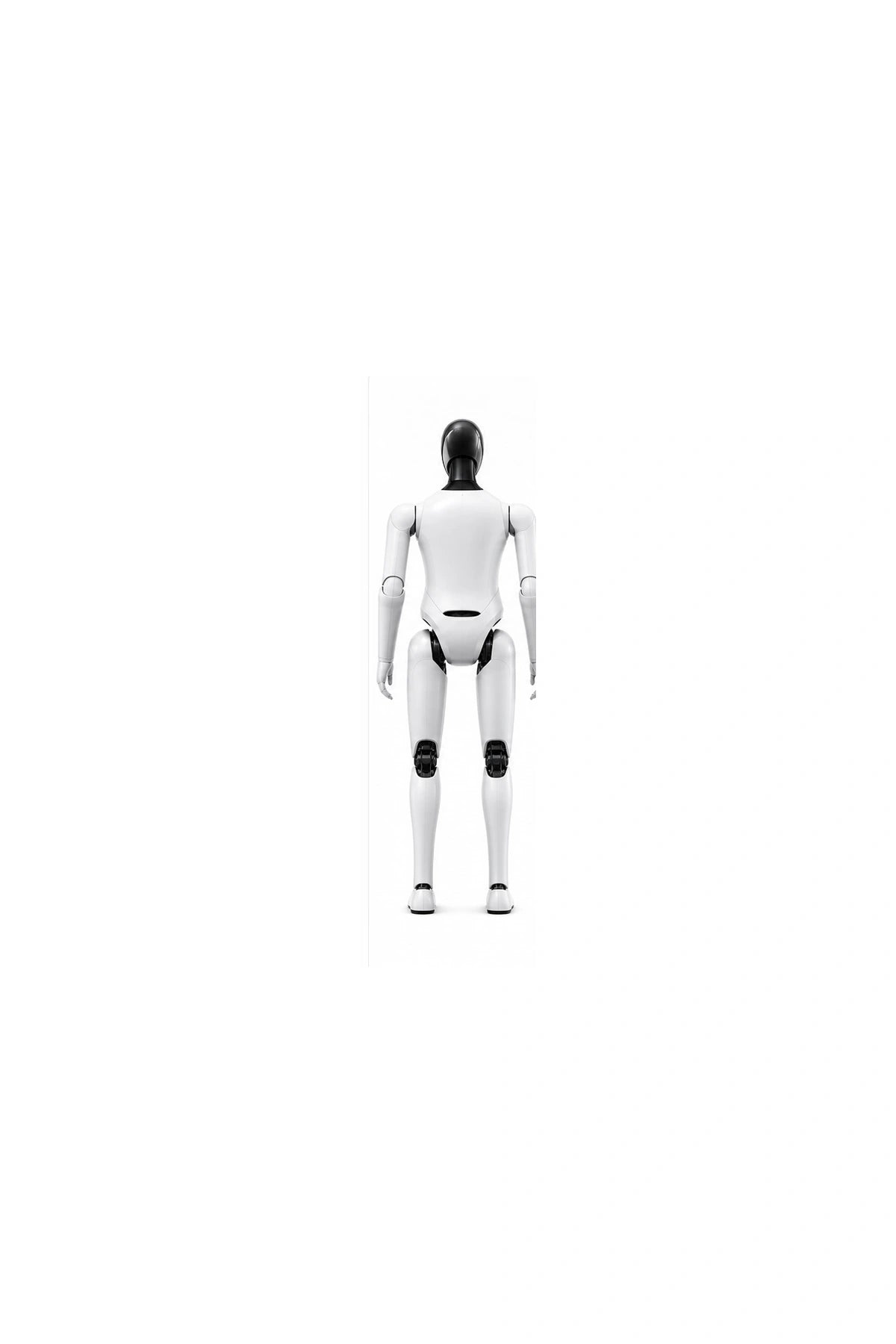 CyberOne Rear view