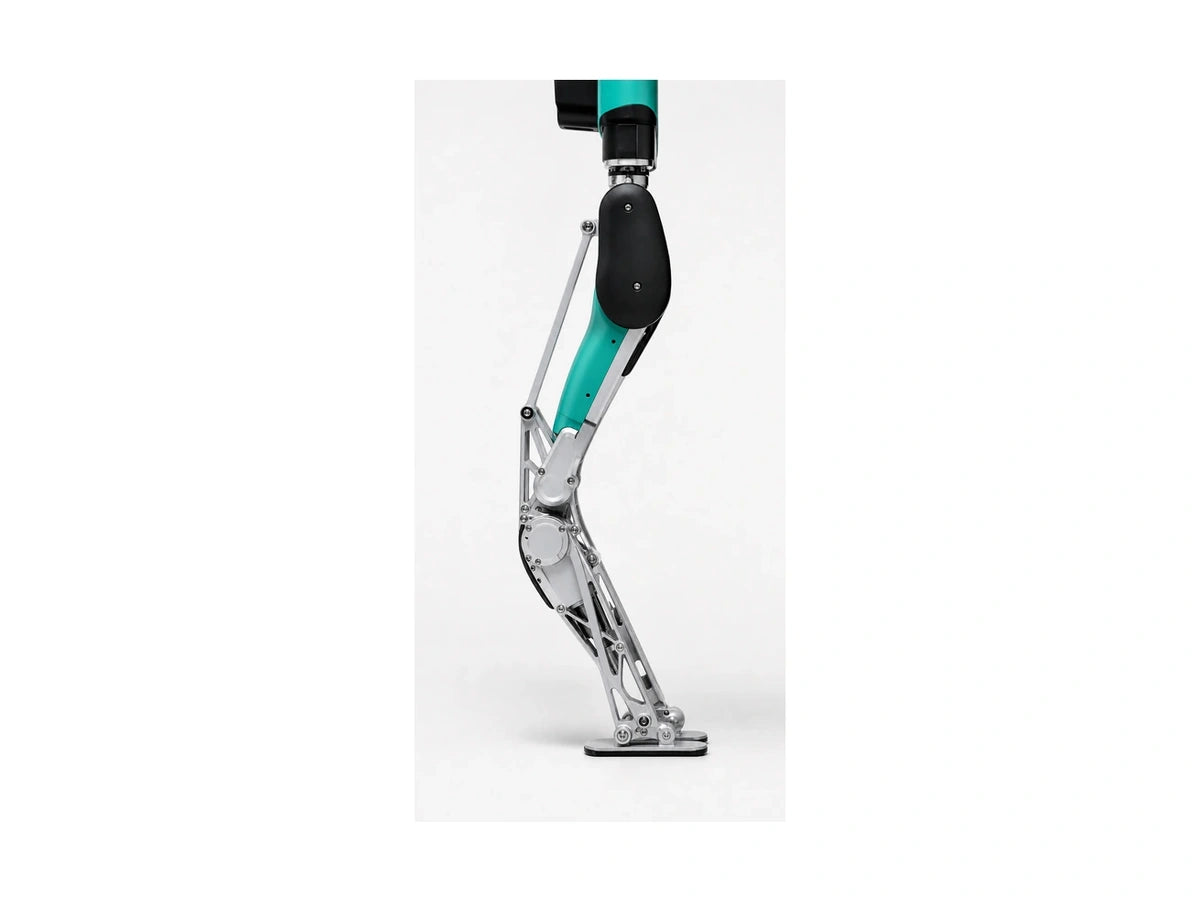 Digit Leg View