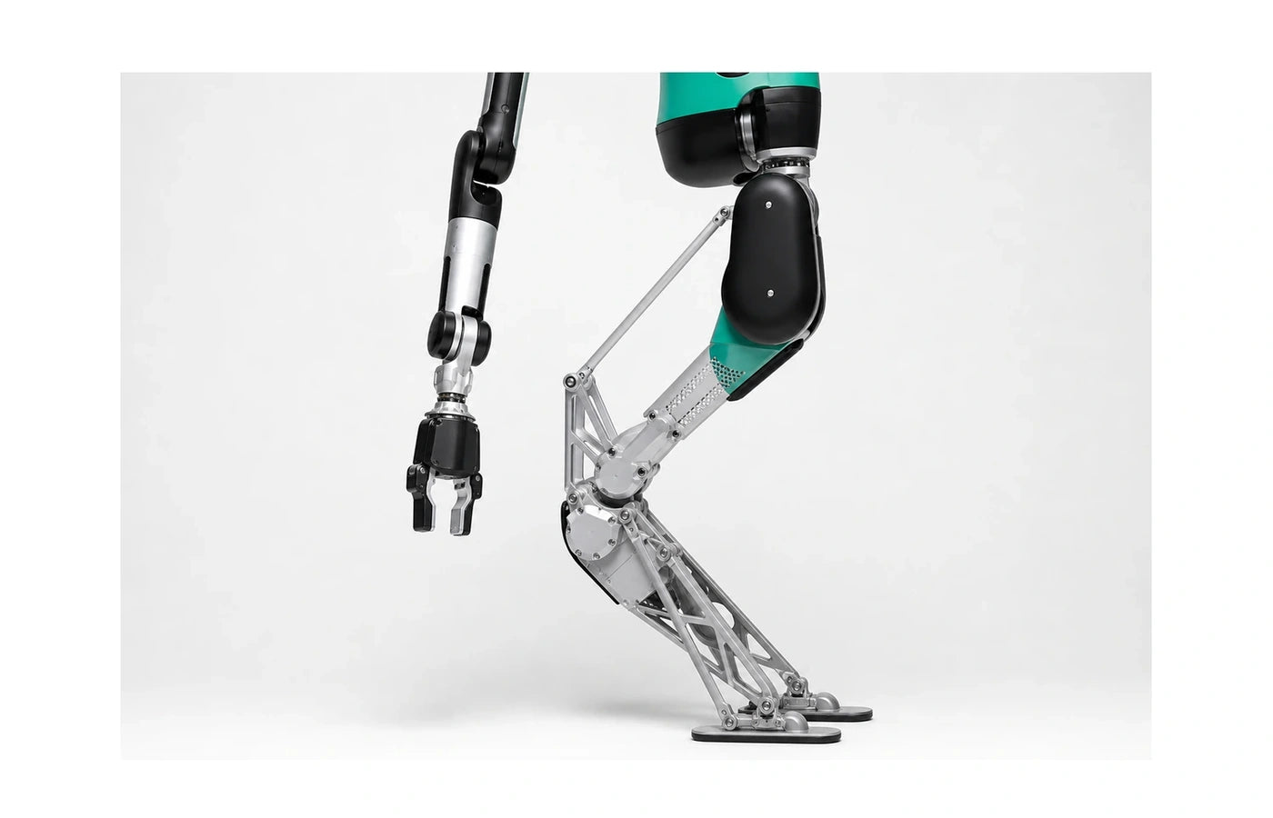 Digit Arm and leg detail