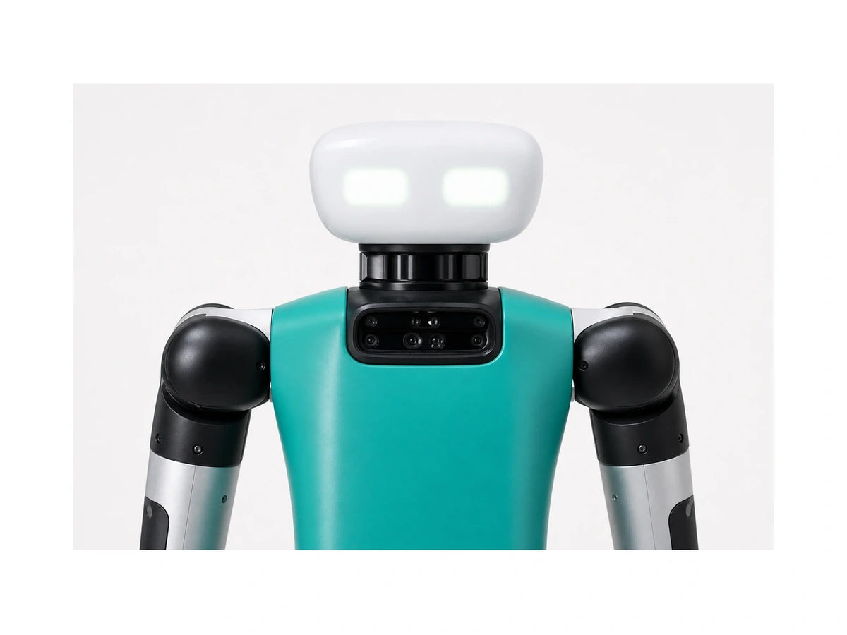 Digit Head and torso