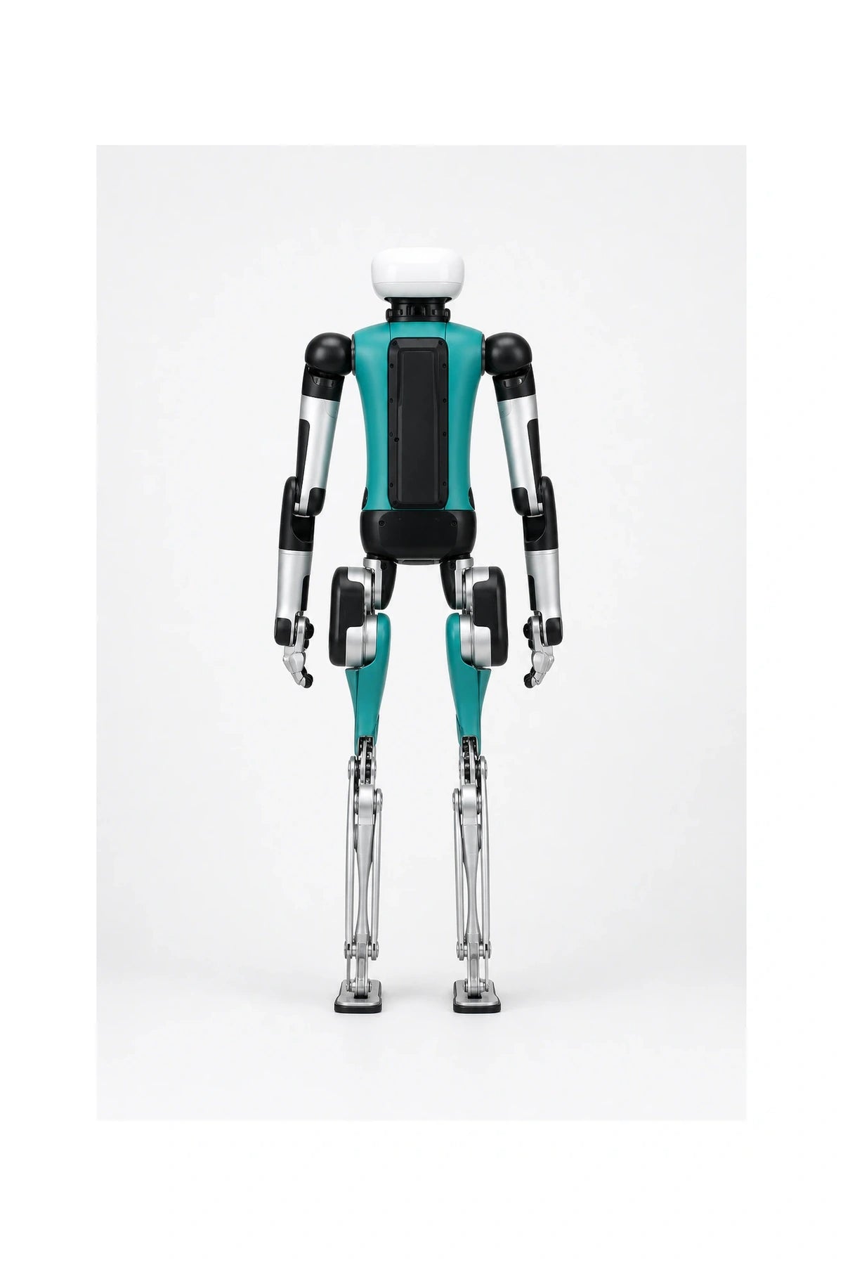 Digit Rear/Back View