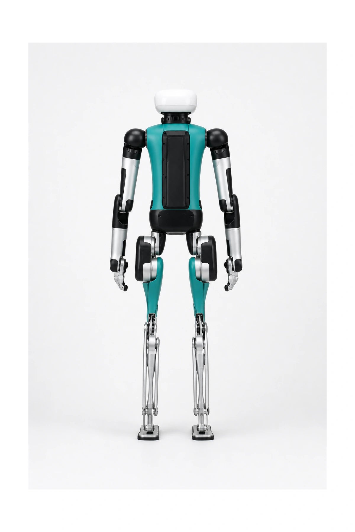 Digit Rear/Back View
