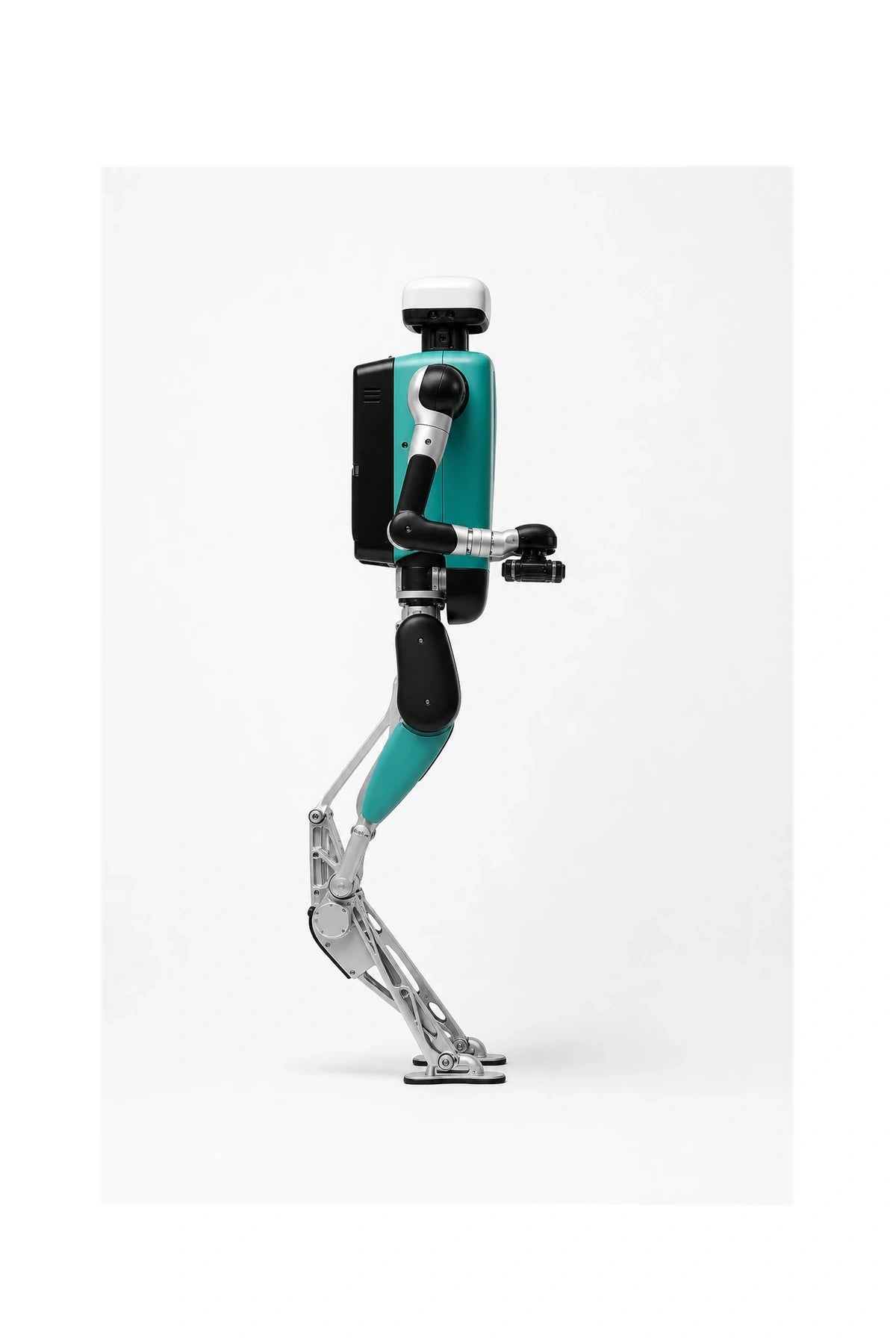 Digit Side View