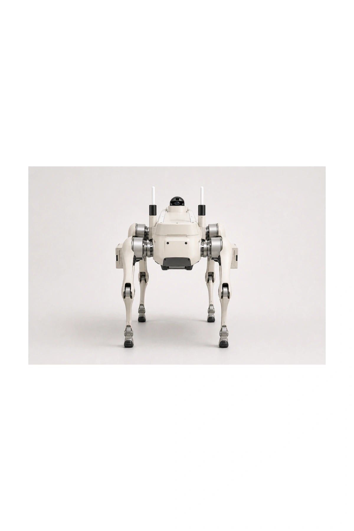 Ff Aegis Advanced Quadruped Rear/Back View