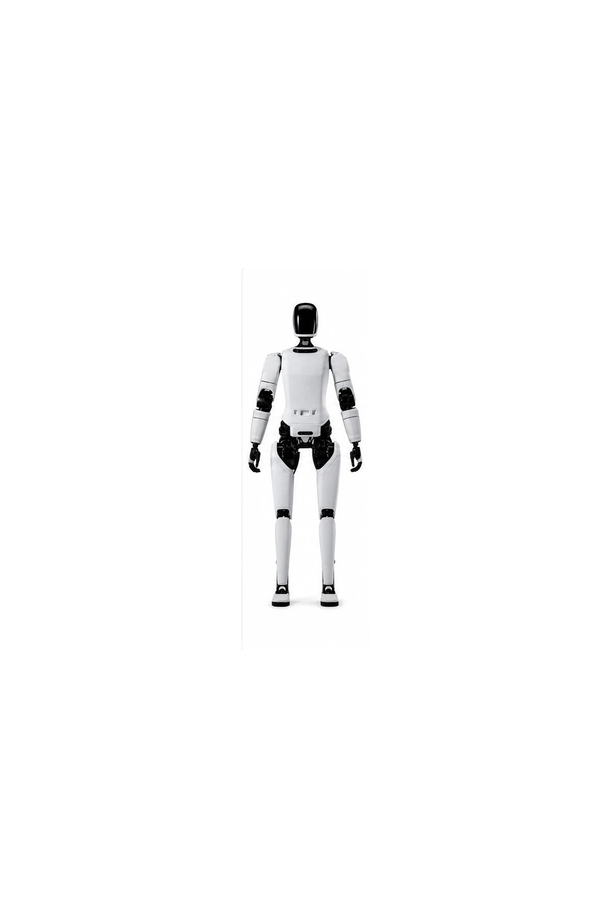 Ff Futurist Front View