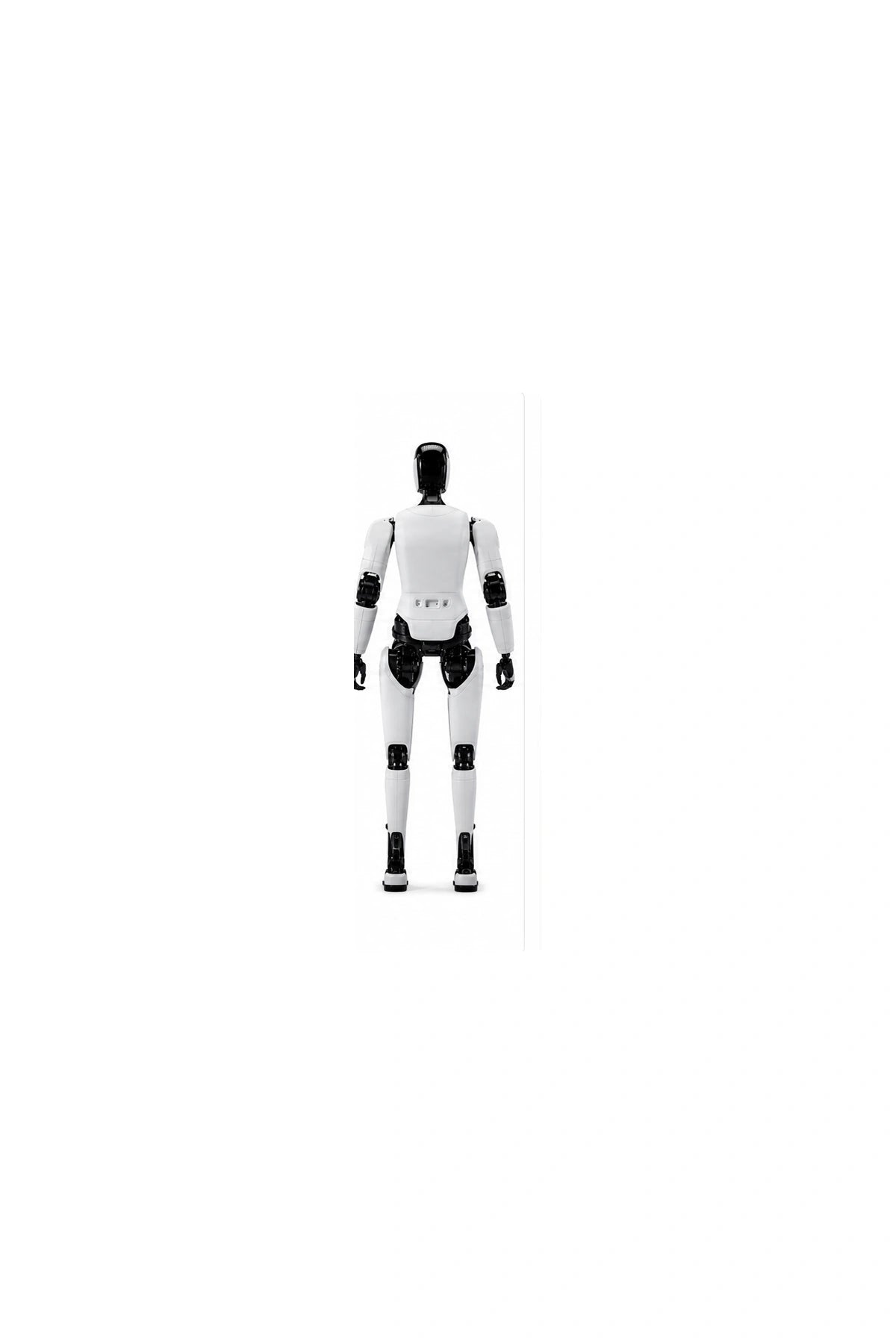 Ff Futurist Rear/Back View