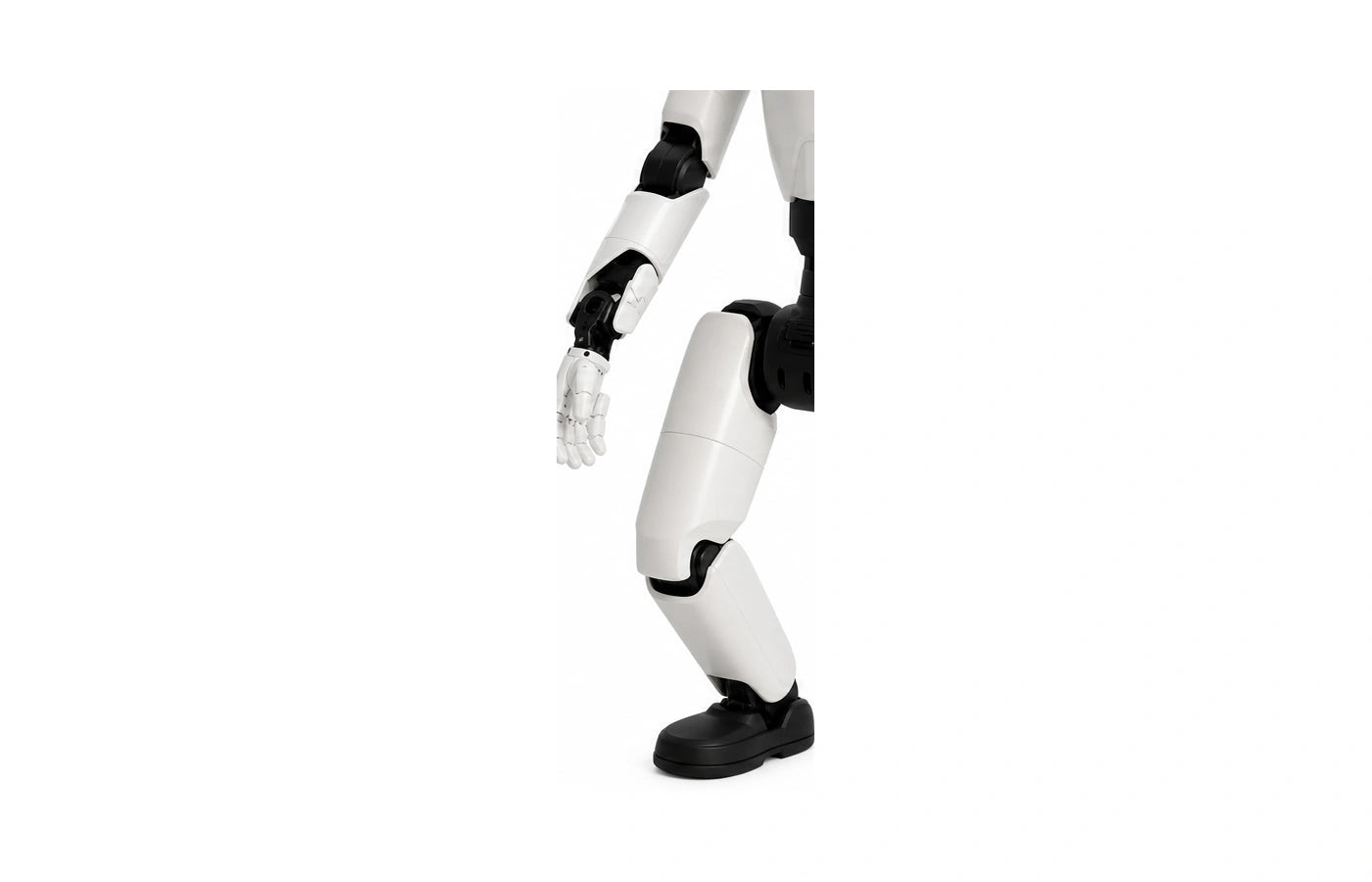 Ff Master Arm and leg detail