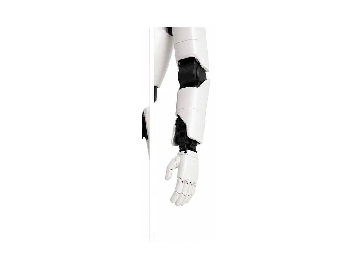 Ff Master Arm View