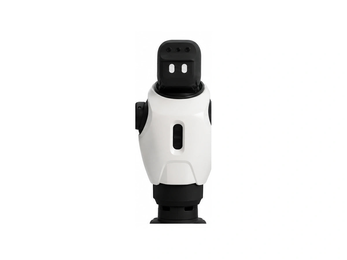 Ff Master Head/Torso View