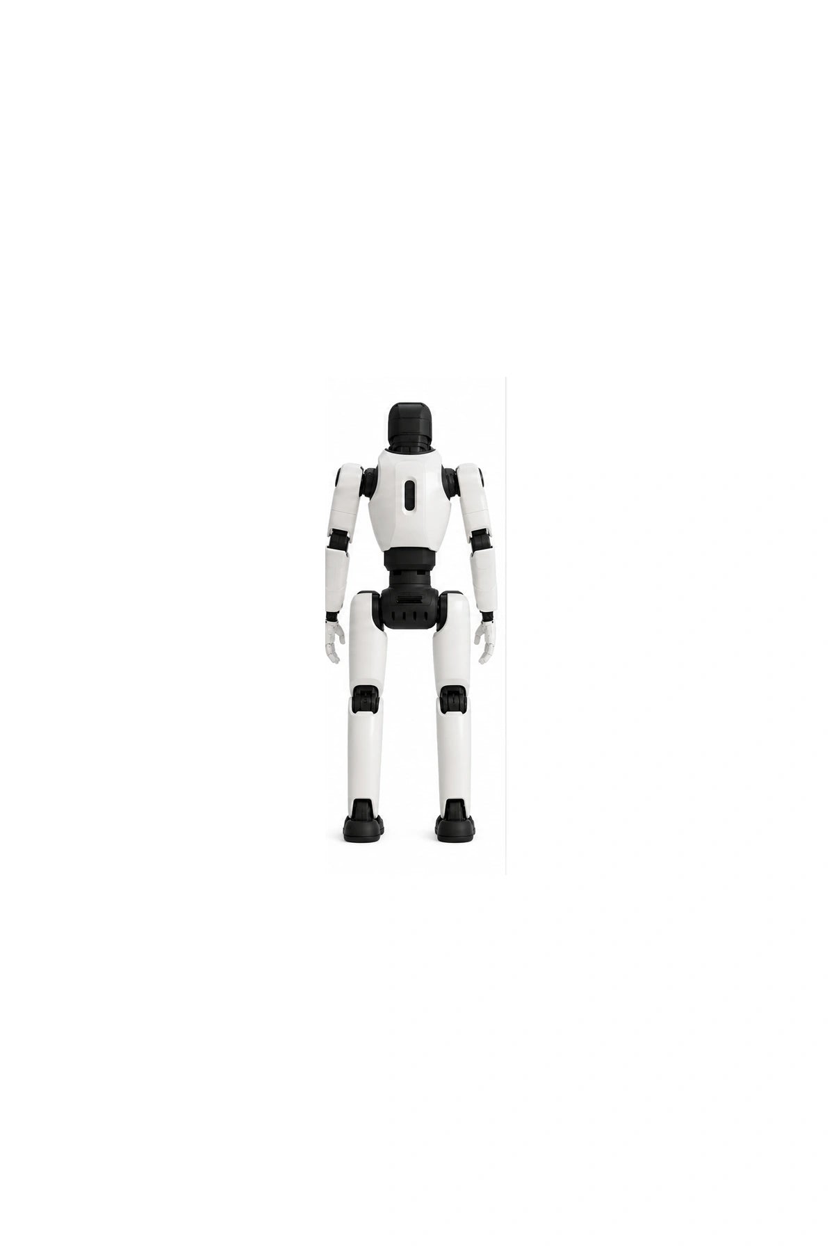 Ff Master Rear/Back View