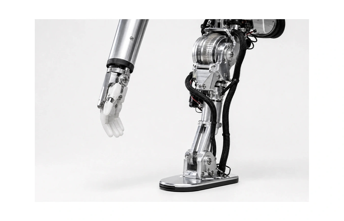 Figure 01 Leg detail