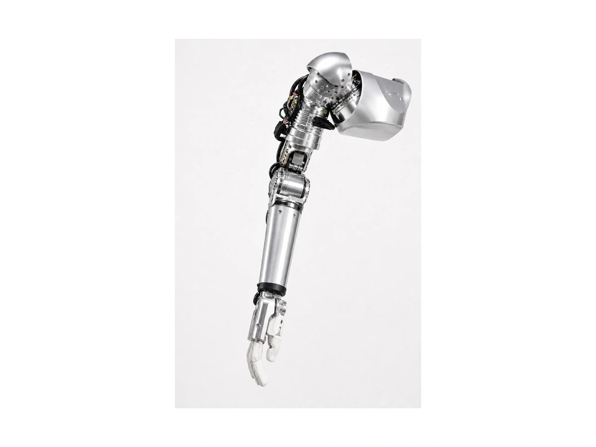 Figure 01 Arm View