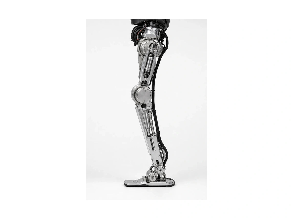 Figure 01 Leg View