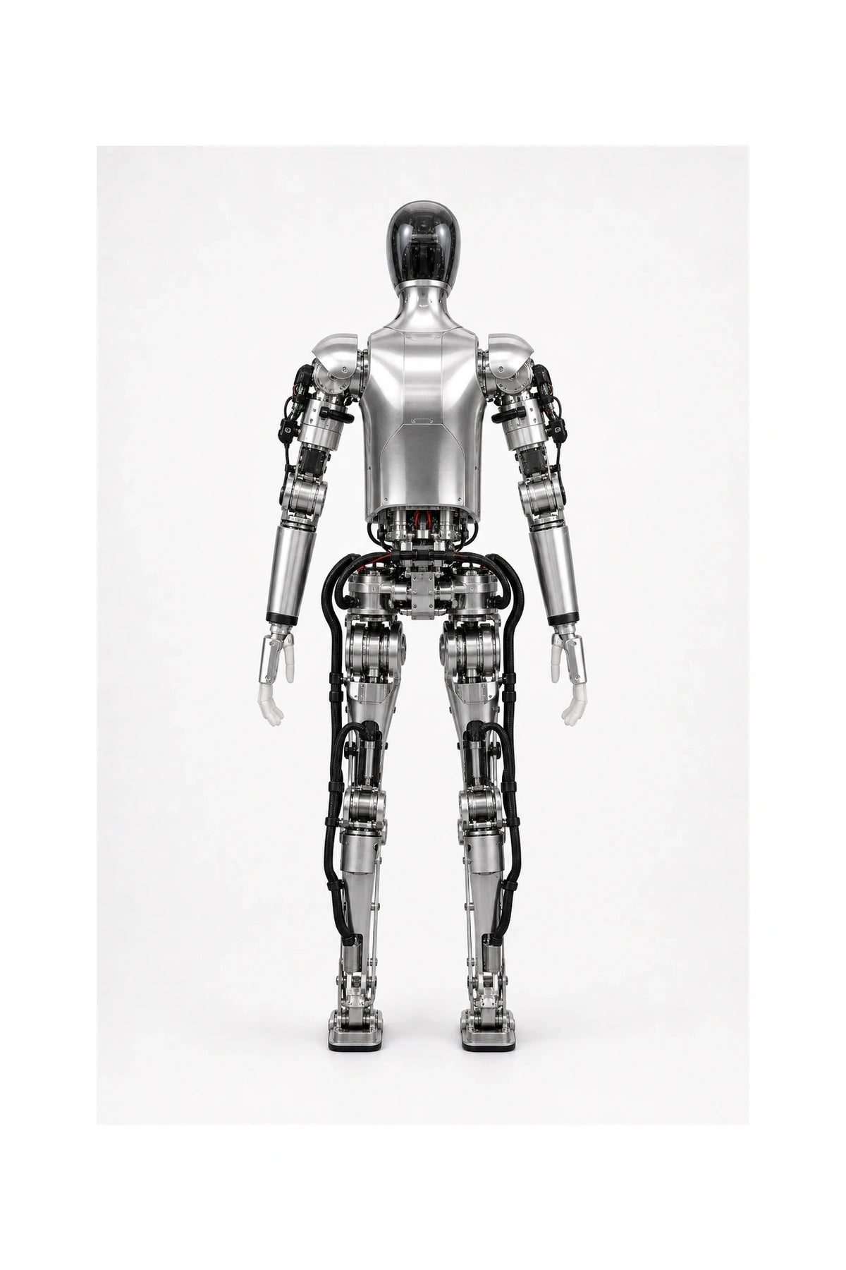 Figure 01 Rear/Back View
