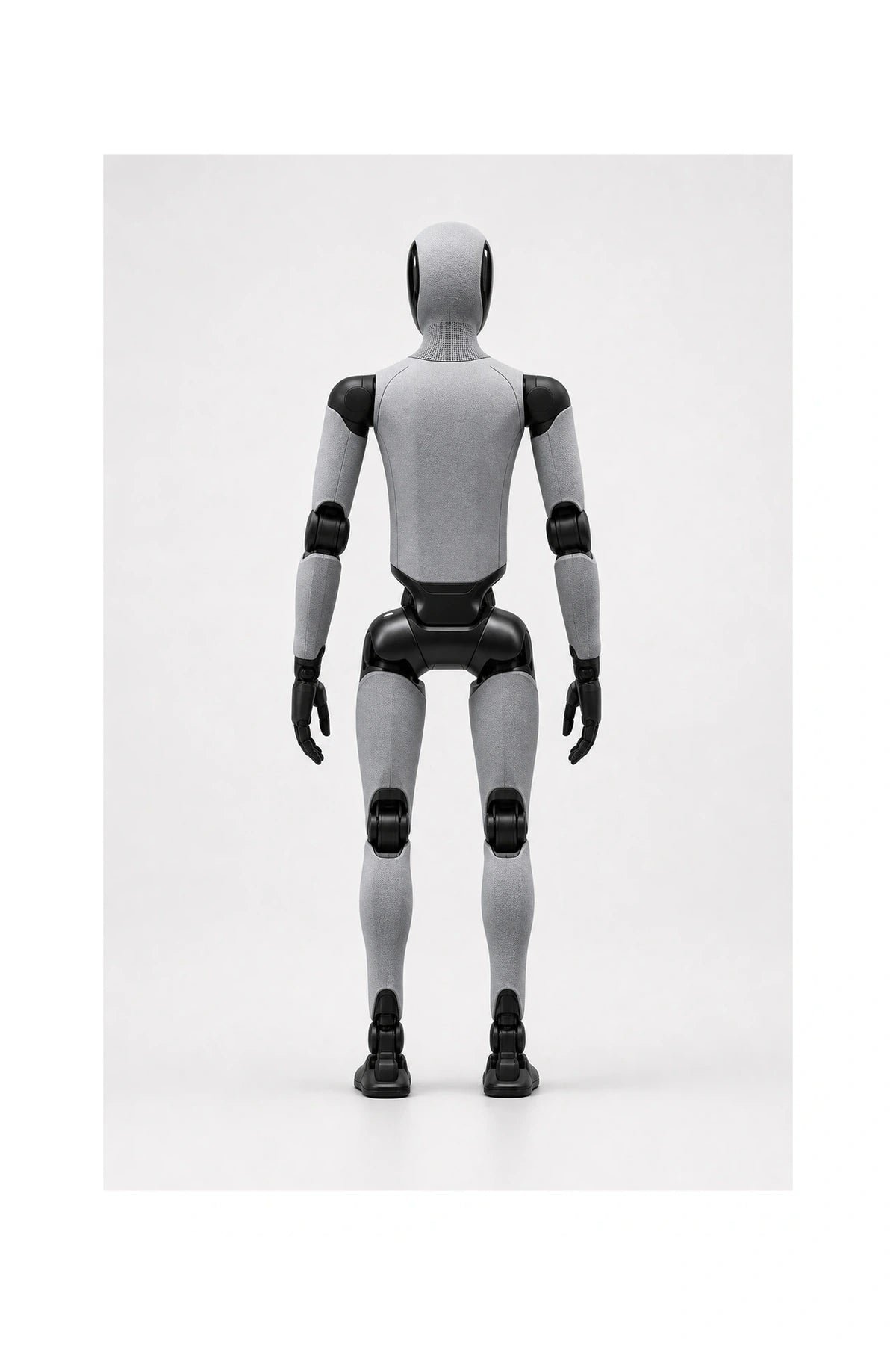 Figure 02 Rear view