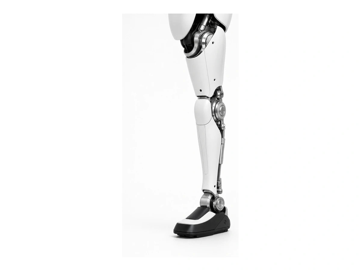 Hmnd 01 Leg View