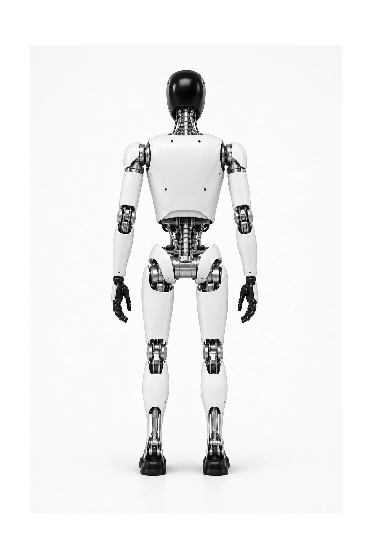 Hmnd 01 Rear/Back View
