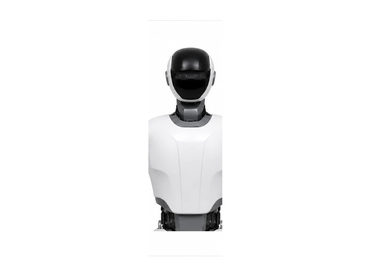 HRP-4 Head and torso