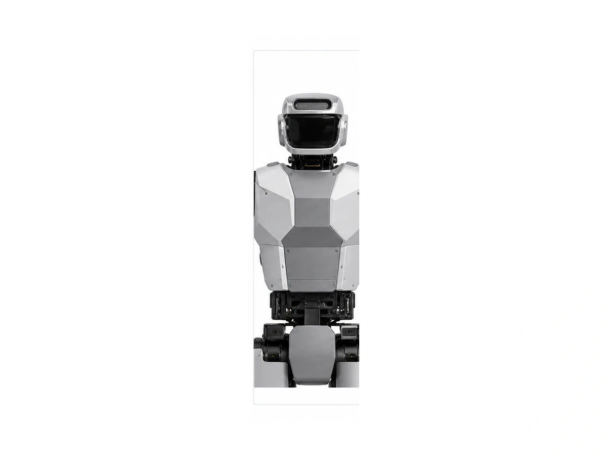 HRP-5P Head/Torso View