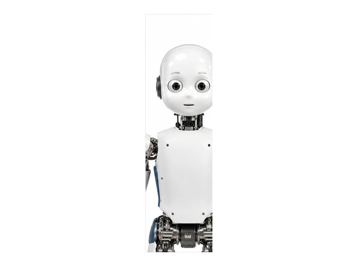iCub Head and torso