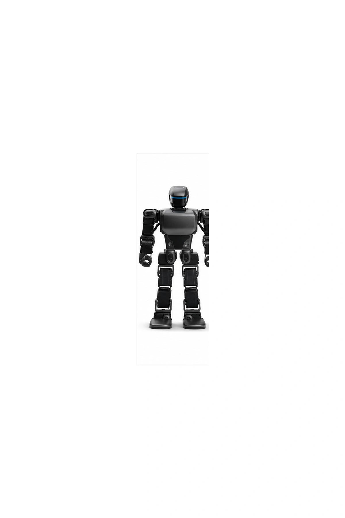 K1 Edu Main WebP