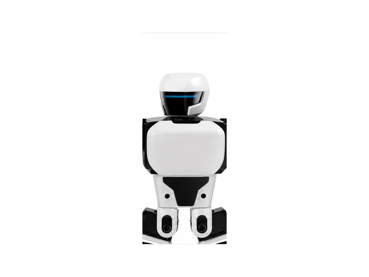 K1 Geek Head/Torso View