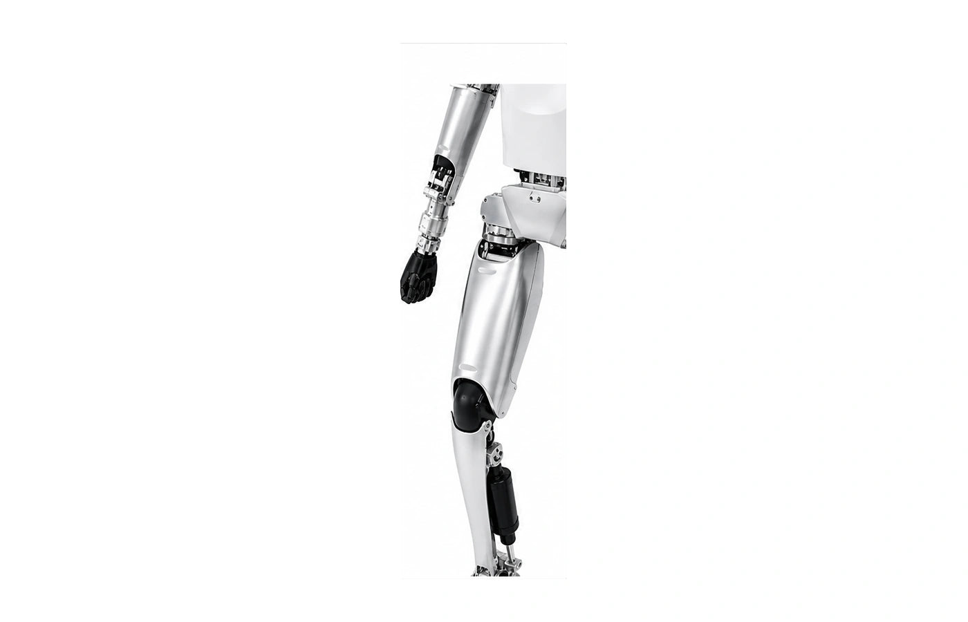 Kepler Leg detail