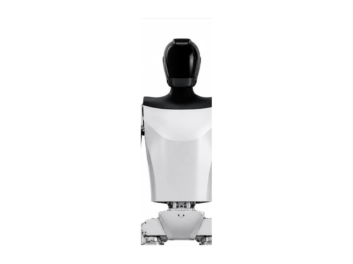 Kepler Head/Torso View