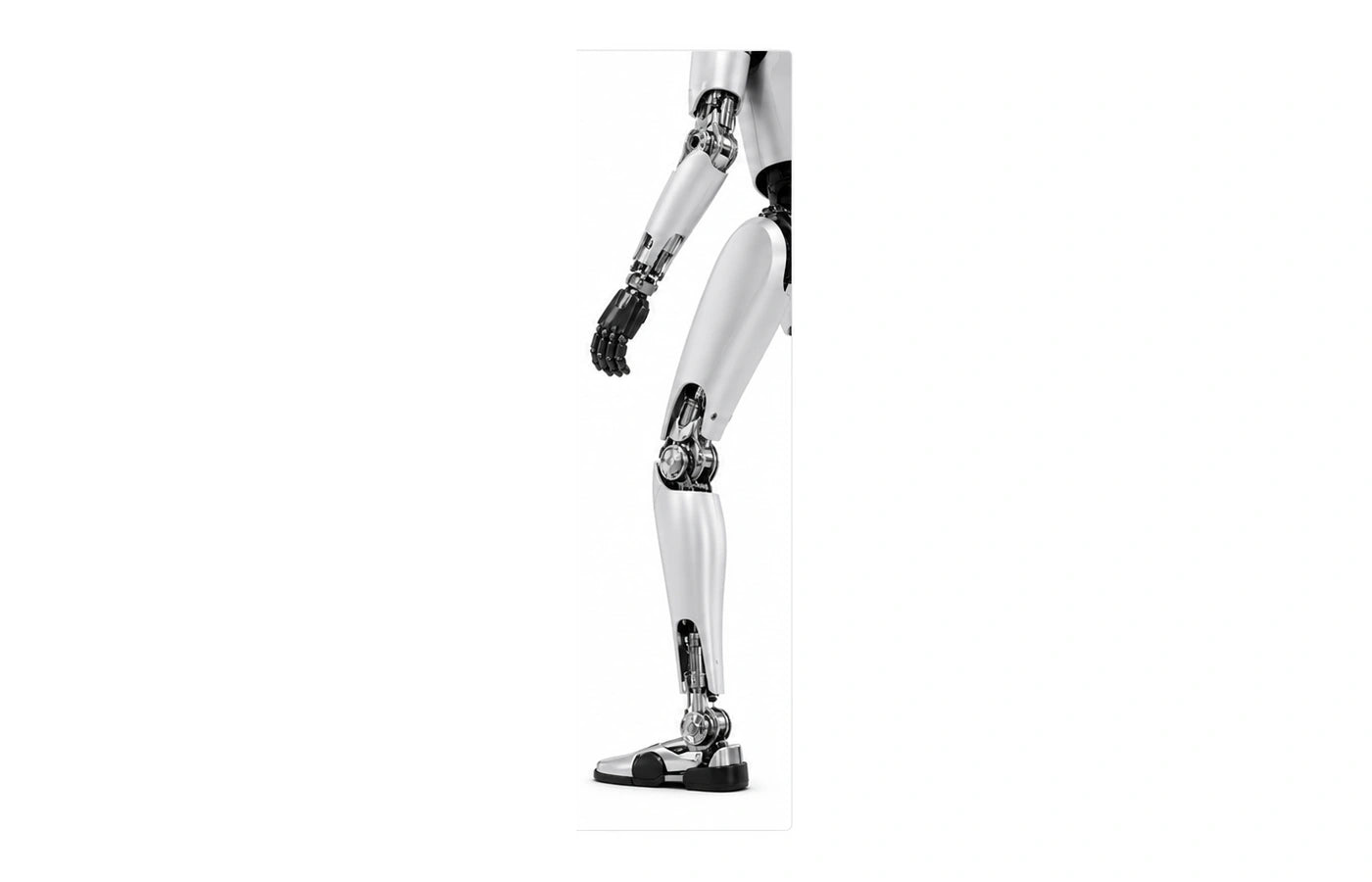 Kepler Forerunner Leg detail