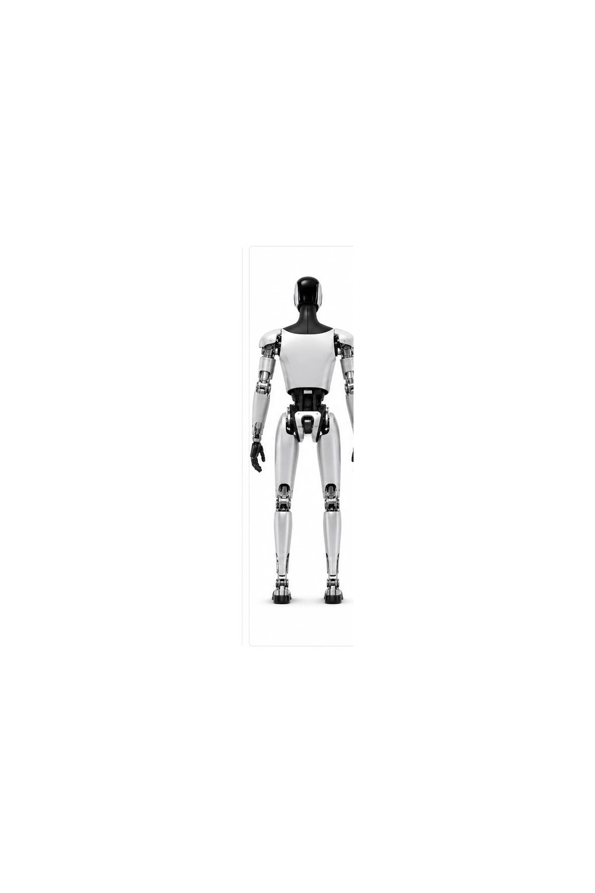 Kepler Forerunner Rear/Back View