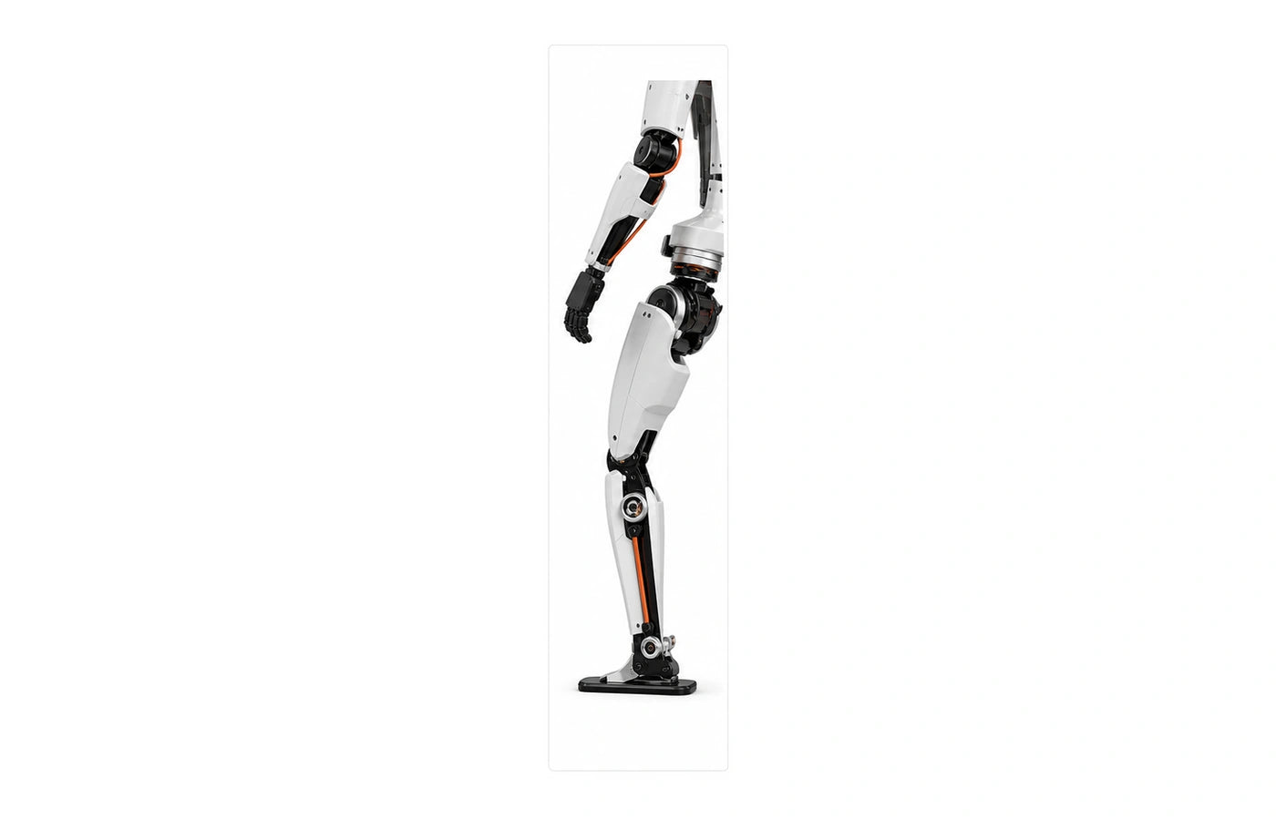 Limx Arm detail