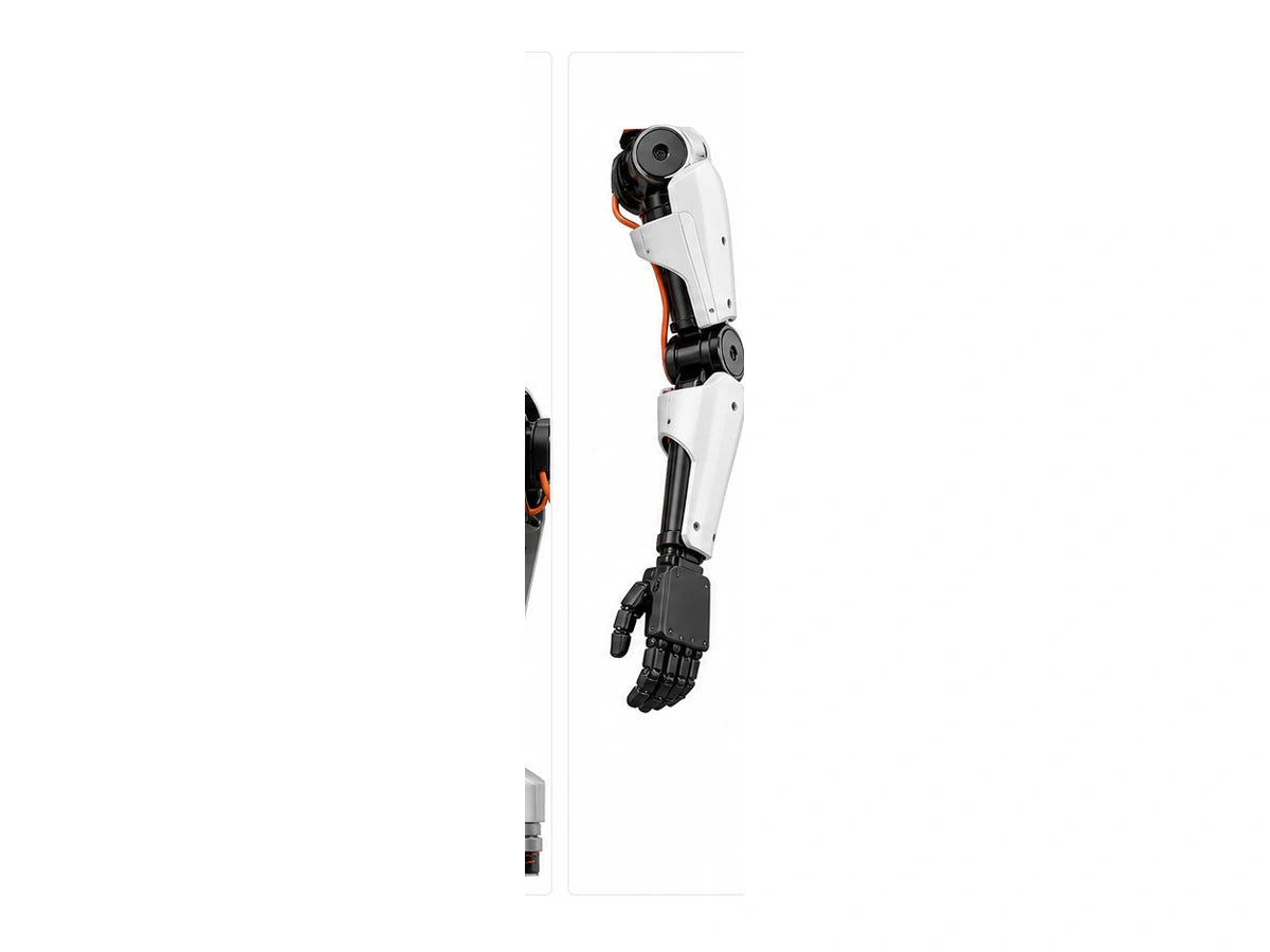 Limx Arm View