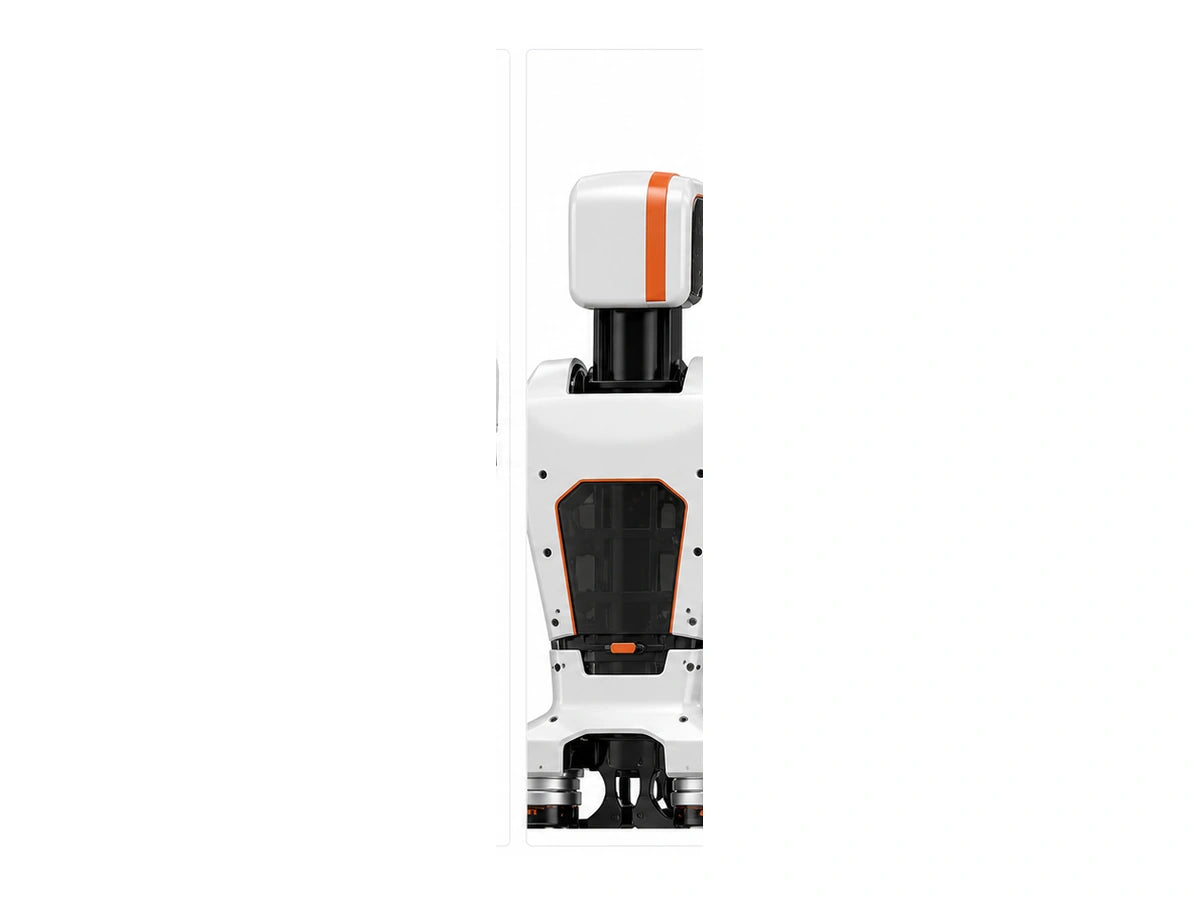 Limx Head/Torso View