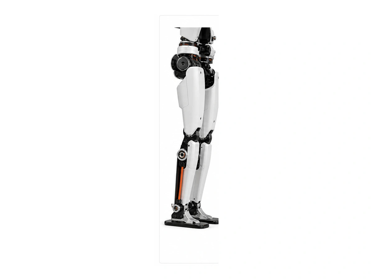 Limx Leg View