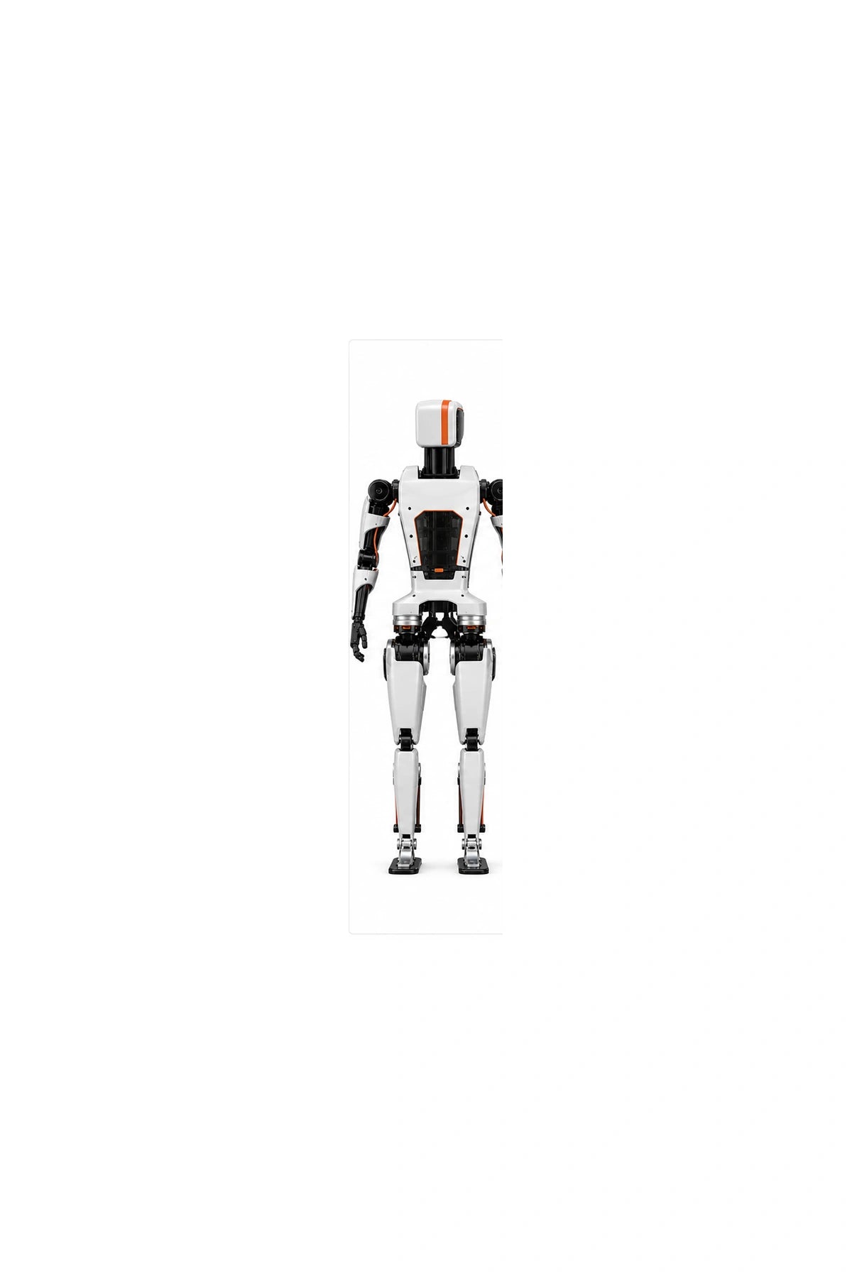 Limx Main WebP